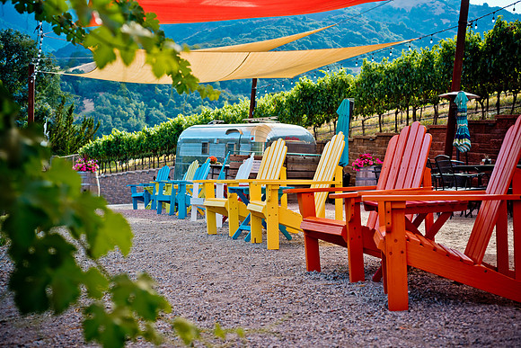 20230814_Alamitos_Vinyards_0032