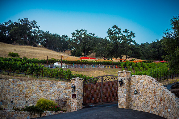 20230814_Alamitos_Vinyards_0457
