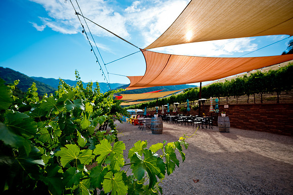 20230814_Alamitos_Vinyards_0026
