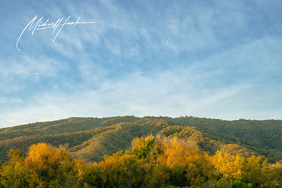 20231123_Gilroy_Scenic_Landscapes_0009