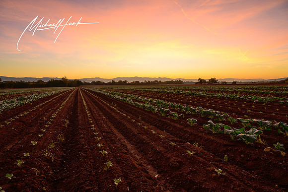 20231123_Gilroy_Scenic_Landscapes_0002