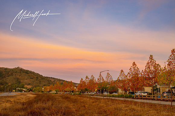 20231123_Gilroy_Scenic_Landscapes_0005
