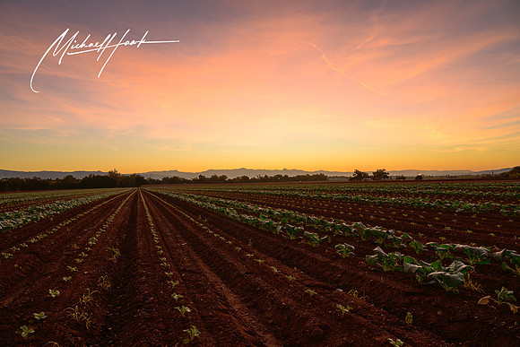 20231123_Gilroy_Scenic_Landscapes_0003