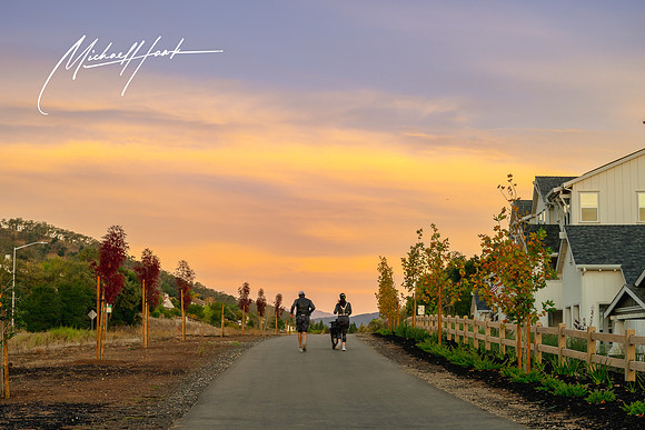 20231123_Gilroy_Scenic_Landscapes_0007