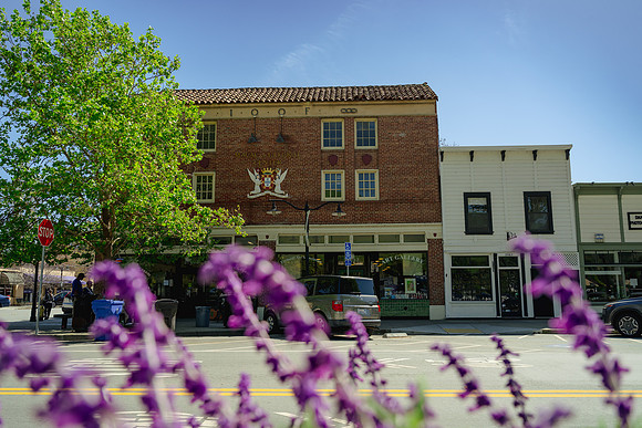 20240411_CoF_Downtown_Niles_0168