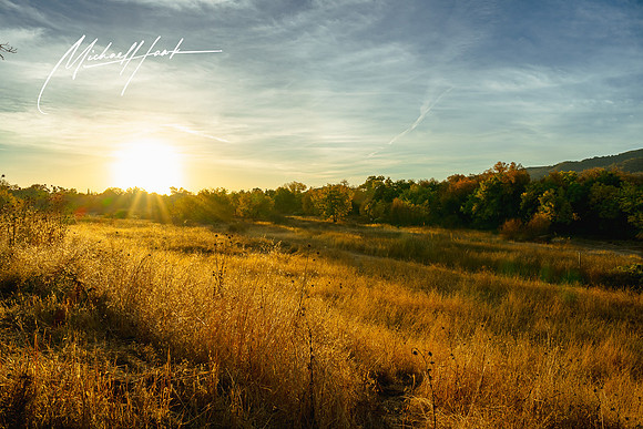20231123_Gilroy_Scenic_Landscapes_0013
